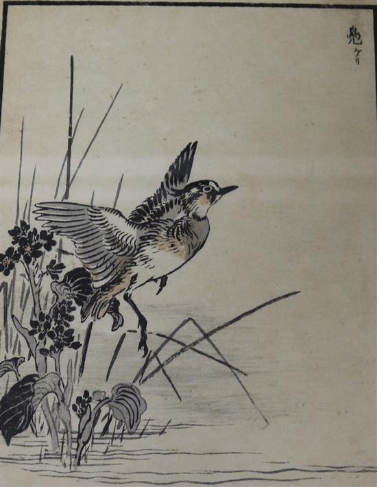 Japanese School, woodblock, waterbird taking flight, 22 x 15cm